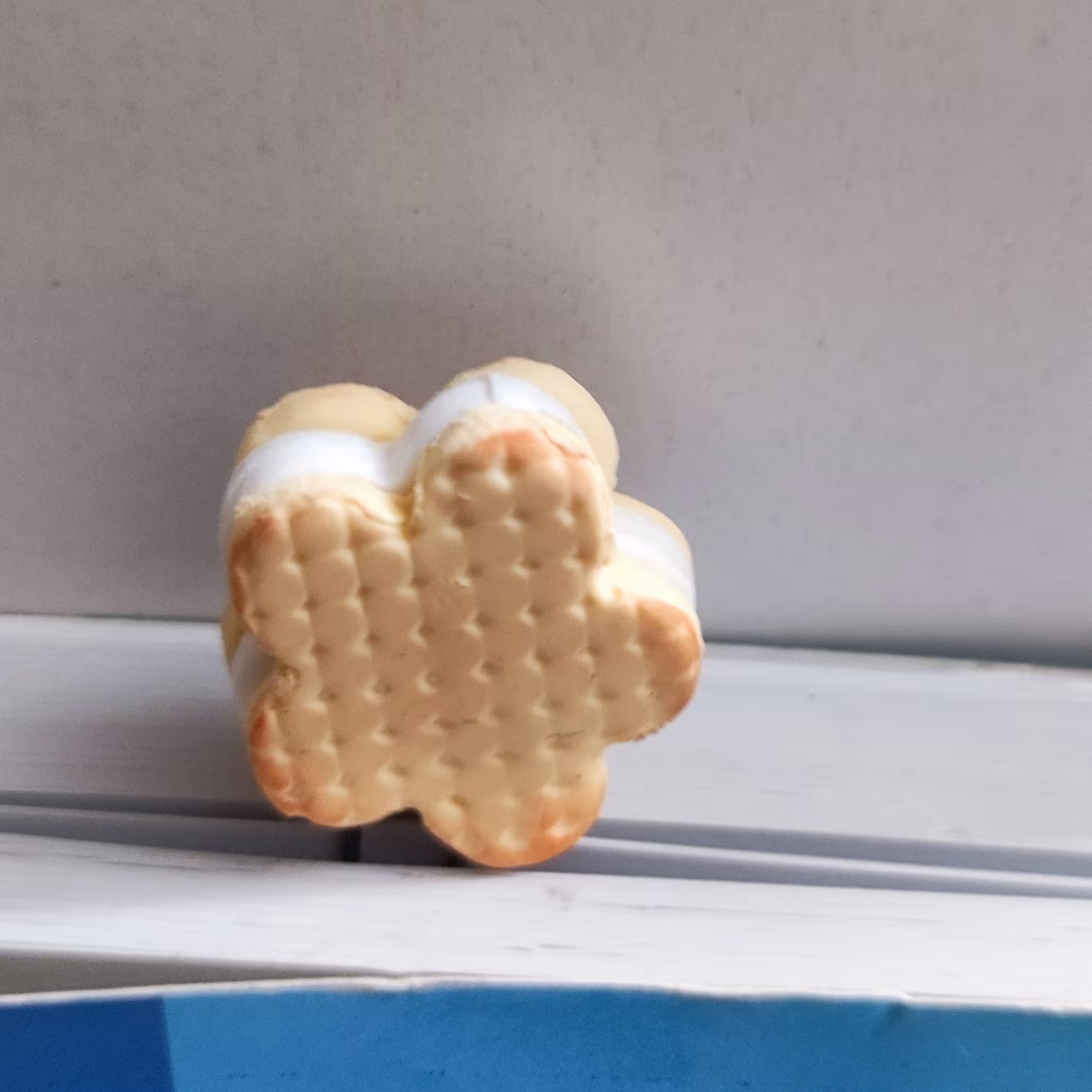 بوک مارک خمیری بیسکوییت