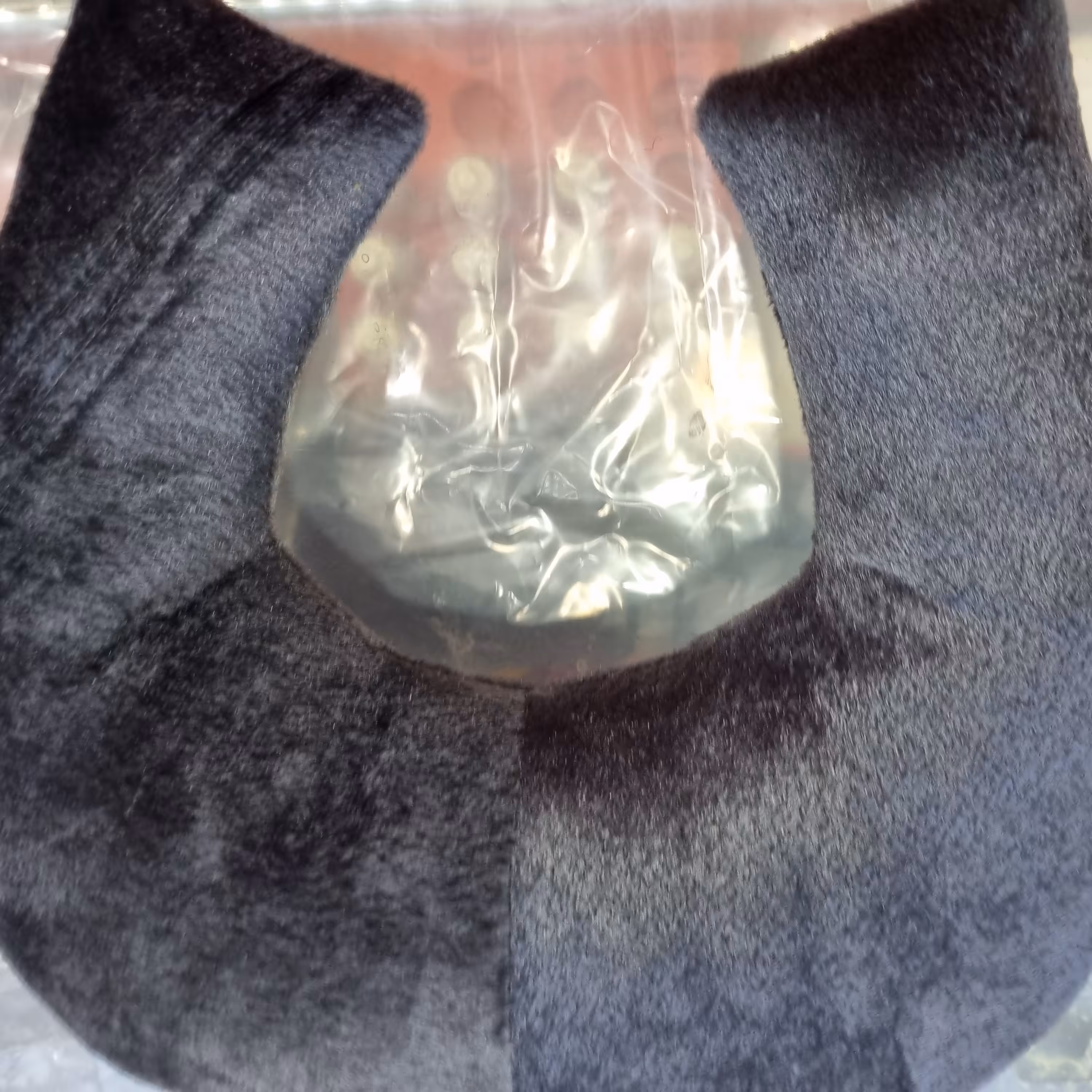 دورگردنی طبی طوسی