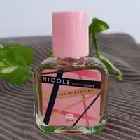 عطر جیبی  زنانه پینک مدلnicole حجم 35 میلی لیتر 