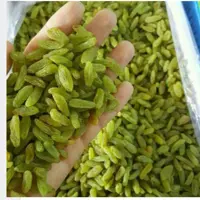 کشمش سبز آفتابی