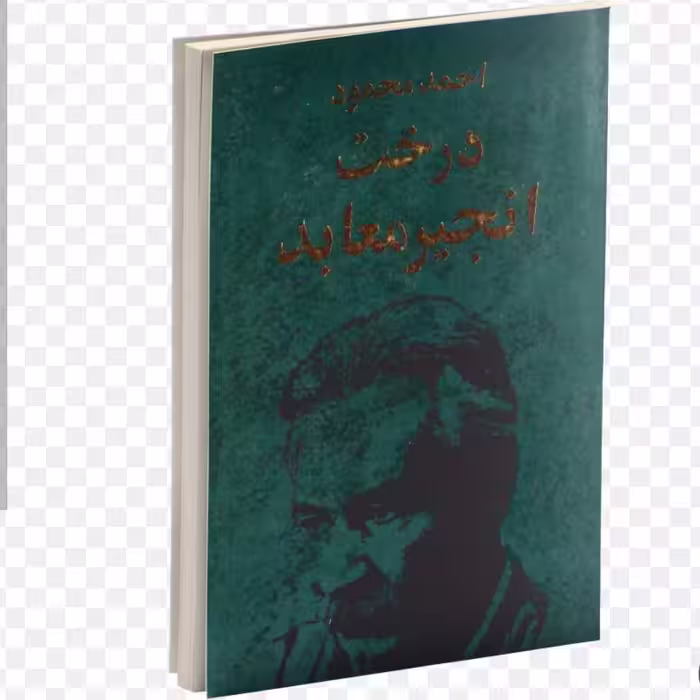 کتاب درخت انجیر معابد دو جلدی اثر احمد محمود