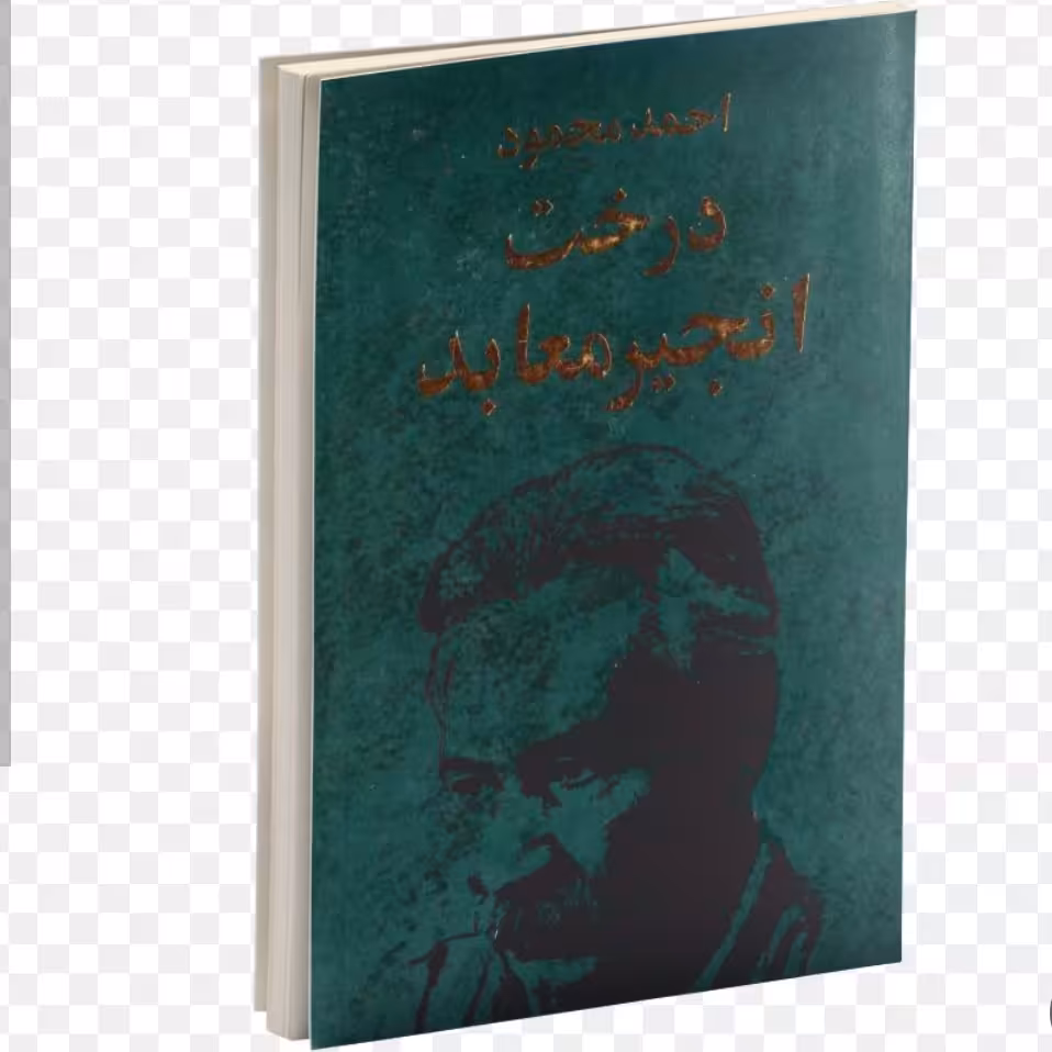 کتاب درخت انجیر معابد دو جلدی اثر احمد محمود