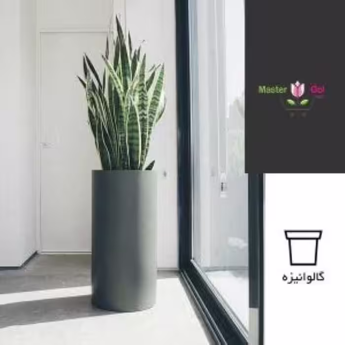 گیاه لوکس سانسوریا شمشیری ابلق در گلدان دکوراتیو جنس گالوانیزه VIP