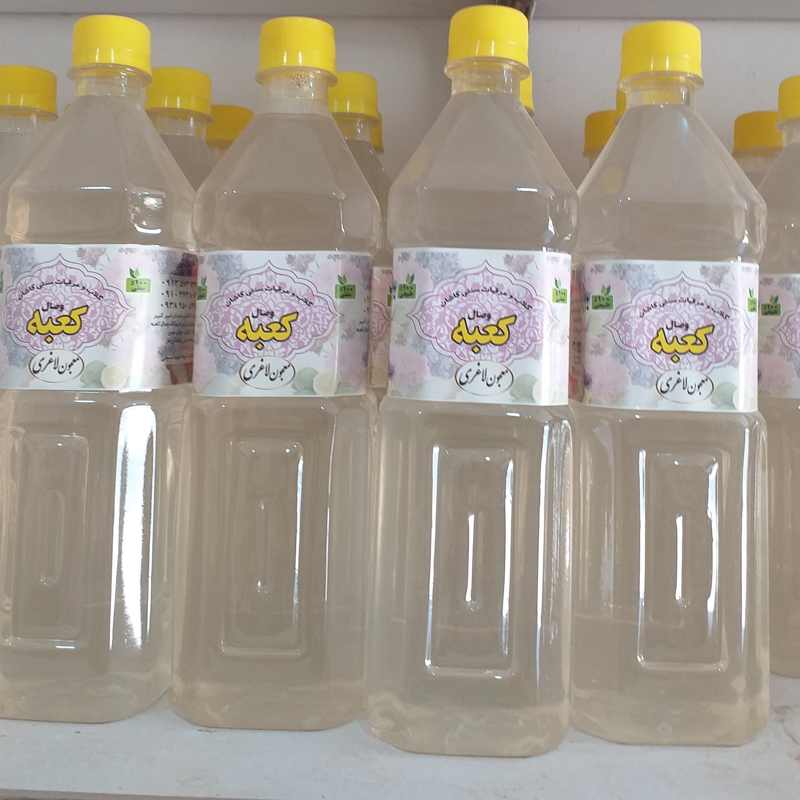 هشت گیاه چربی سوز