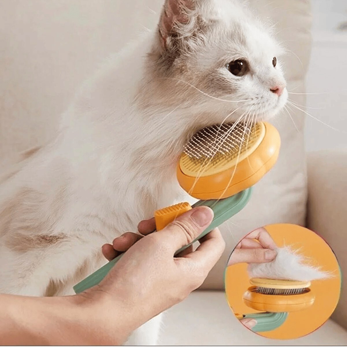 برس گربه طرح کدو تنبل ، برس گربه ، شانه گربه ،