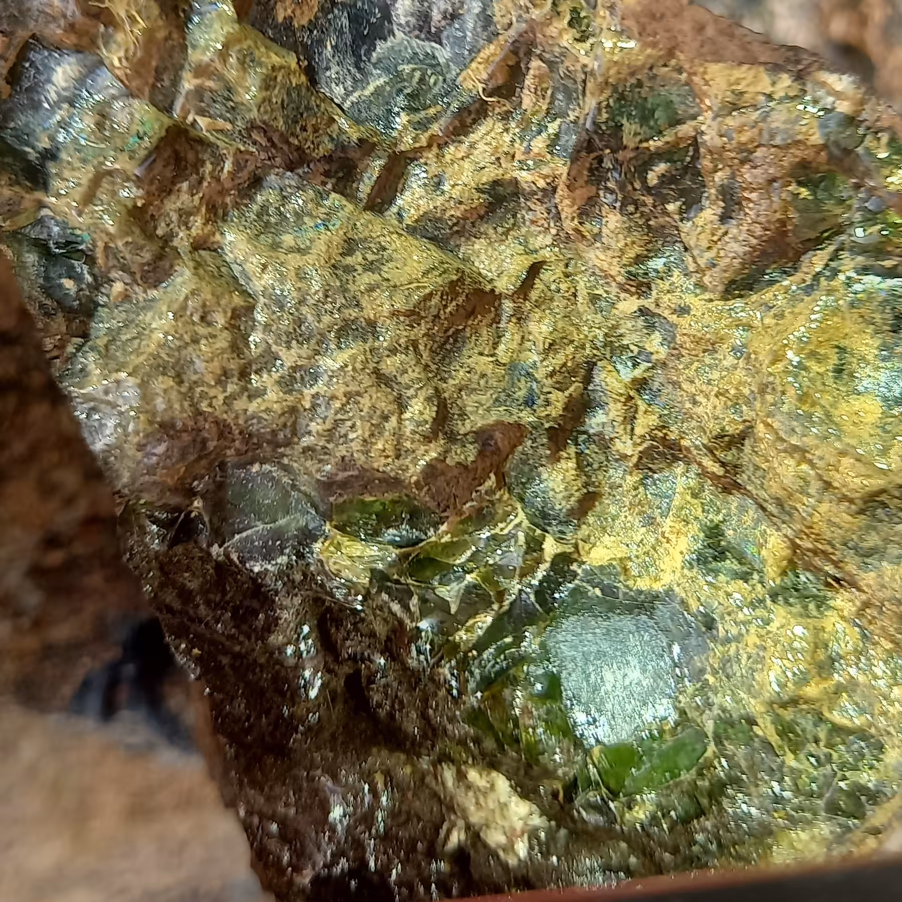 راف ابسیدین کهنه سبز