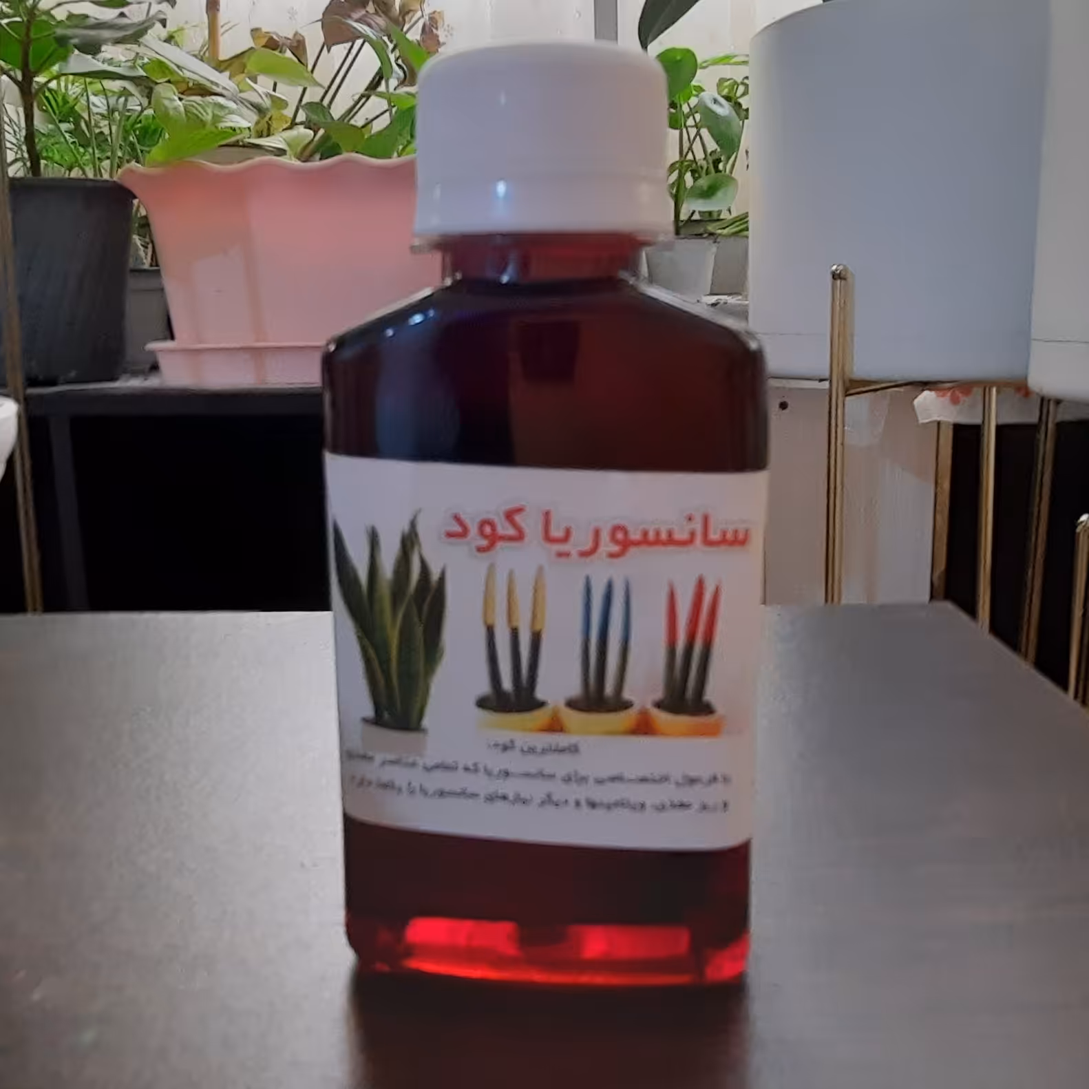 کود مایع سانسوریا. 