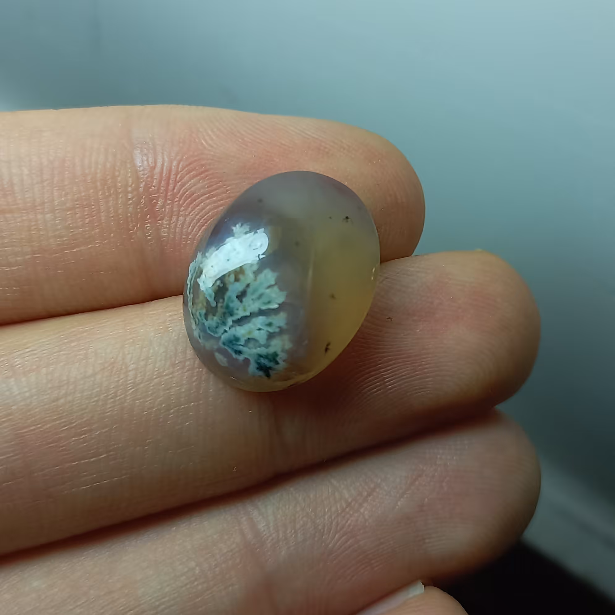 نگین سنگ شجر  درختی طبیعی و اصل