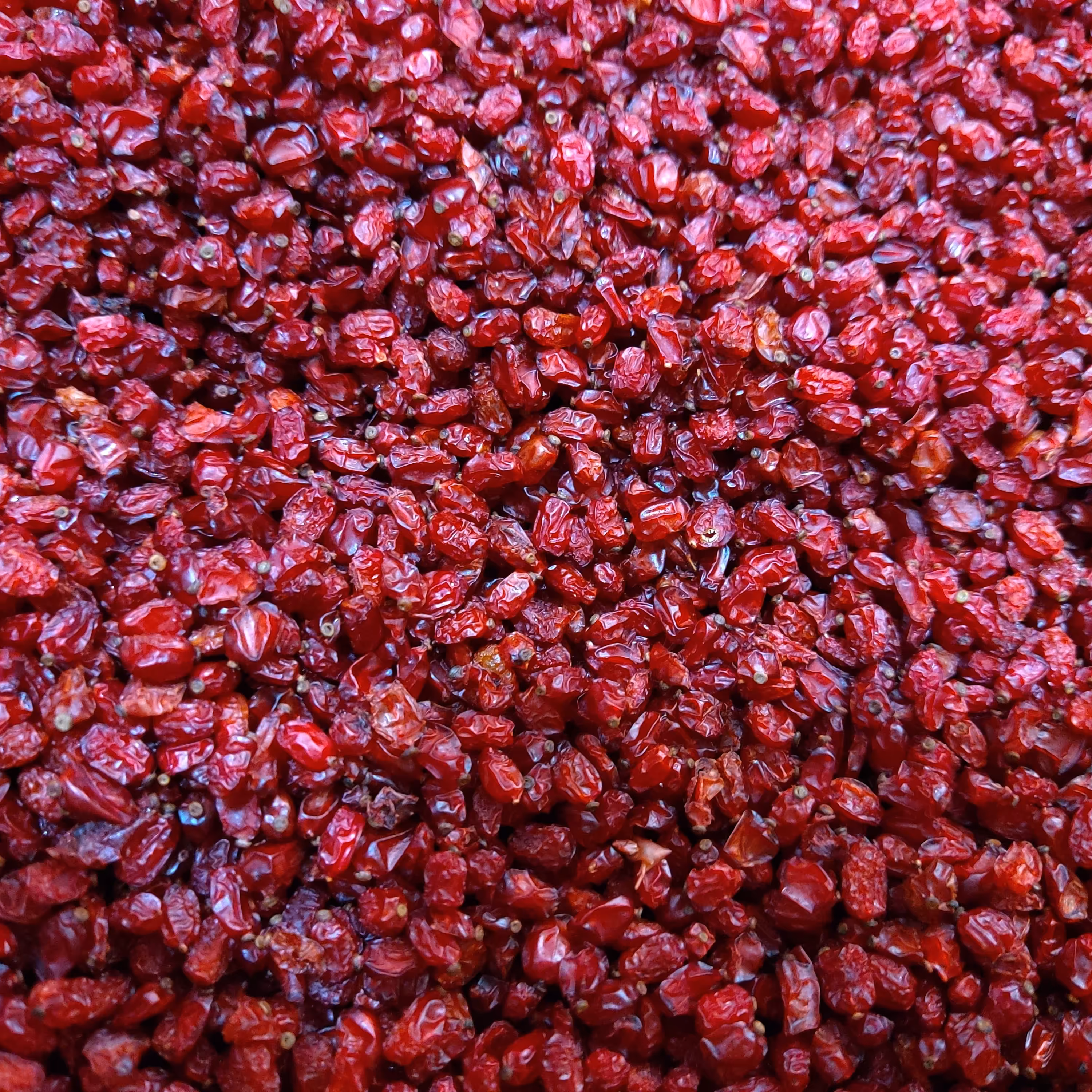 زرشک درجه 1 مشهد (290گرم)