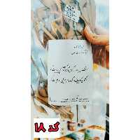 حروف کالیگرافی چوبی کارنو کد 18 عمری به هر کوی و گذر گشتم که پیدایت کنم