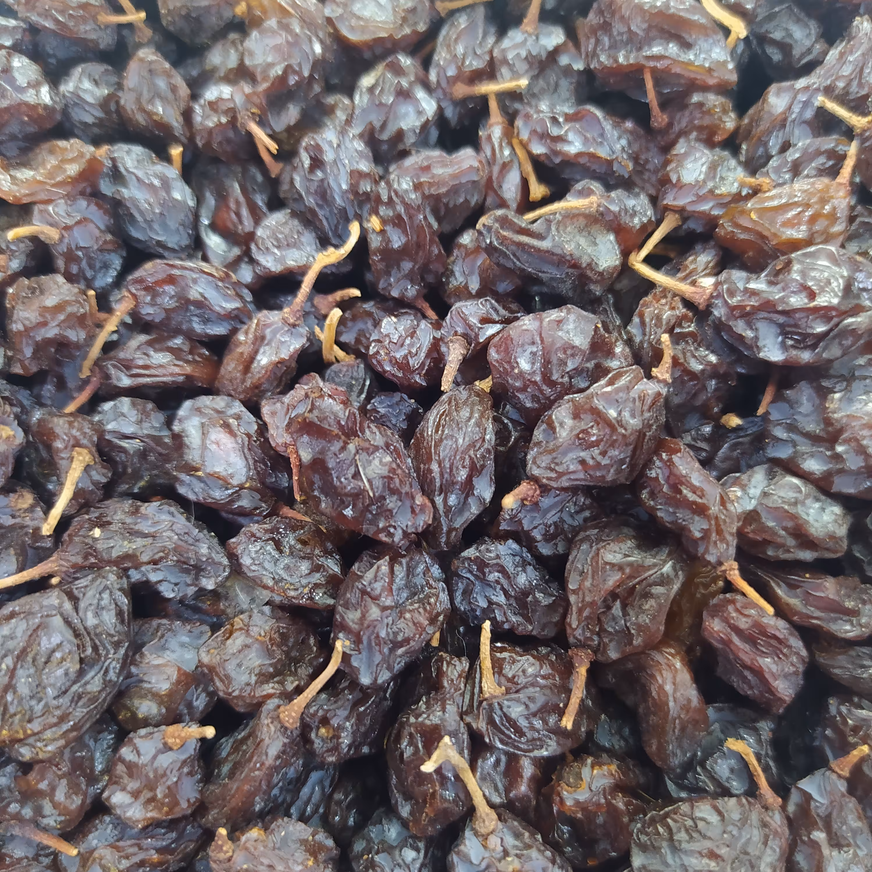 مویز هسته دار اعلاء