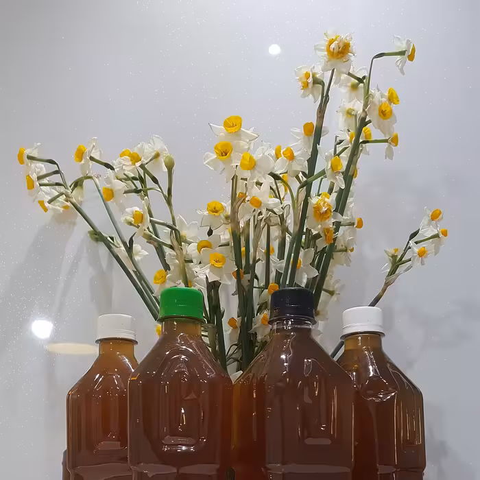 سرکه خرمالو مستقیم از باغدار (فروش ویژه جهت تبلیغ کار)