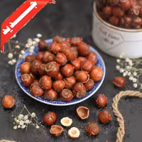 فندق بو داده (480 گرم خالص) نات لاین ارسال رایگان 