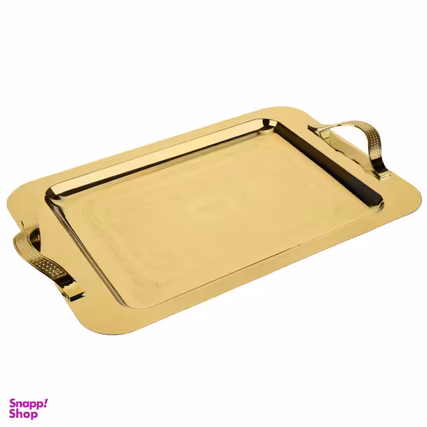 سینی مدل D2-G