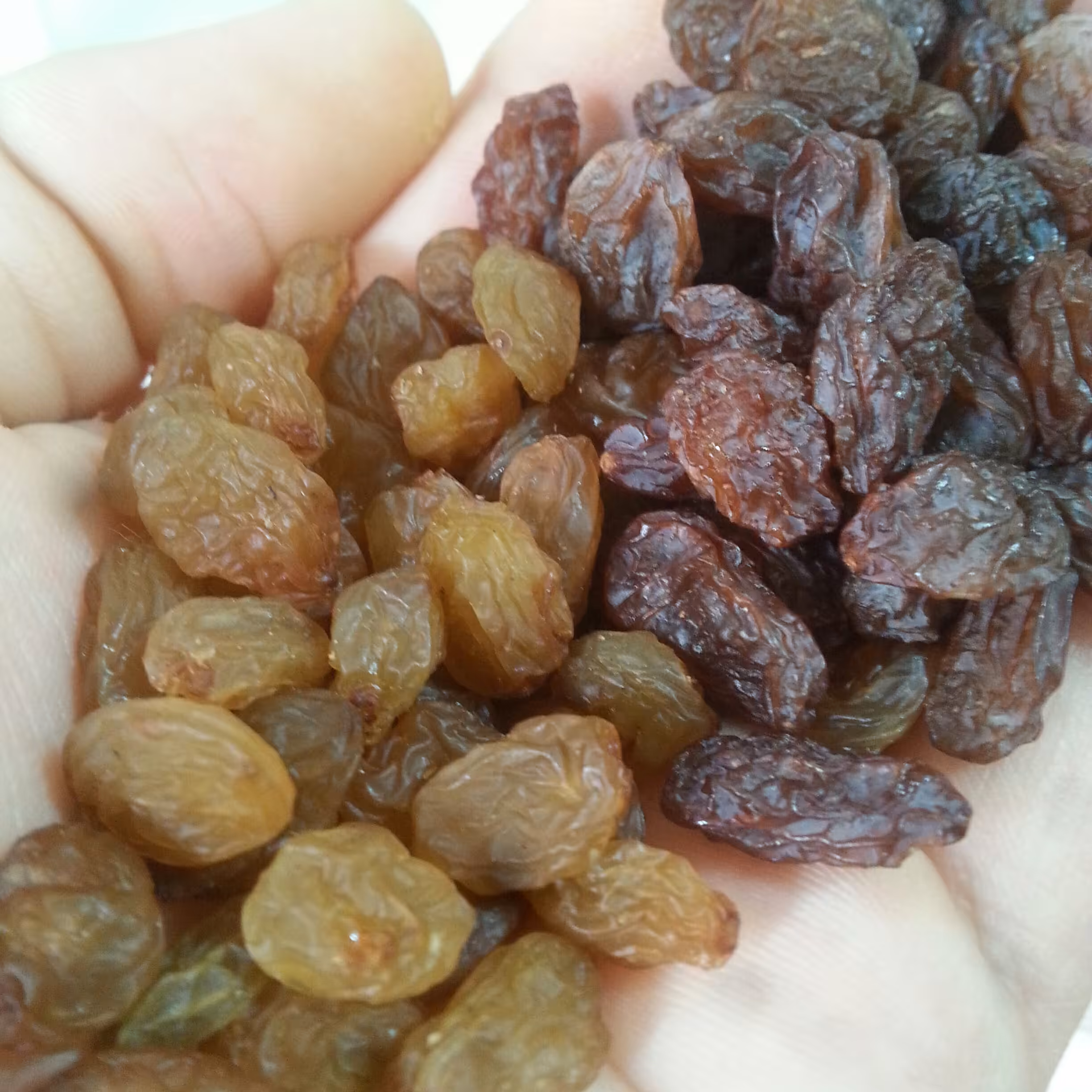 کشمش طلایی و آفتابی تازه مهر 1403 (پک دوعددی هرکدام 400 گرم)