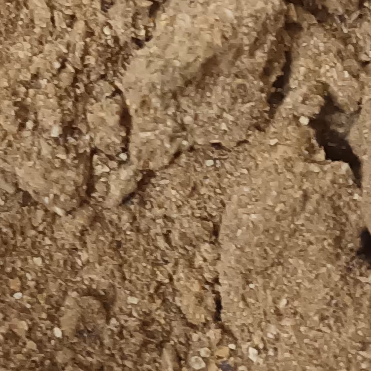 پودر لیمو امانی یا عمانی ،بسته بندی صد گرمی،خانگی،ترش و خالص،بدون افزودنی،بدون ناخالصی