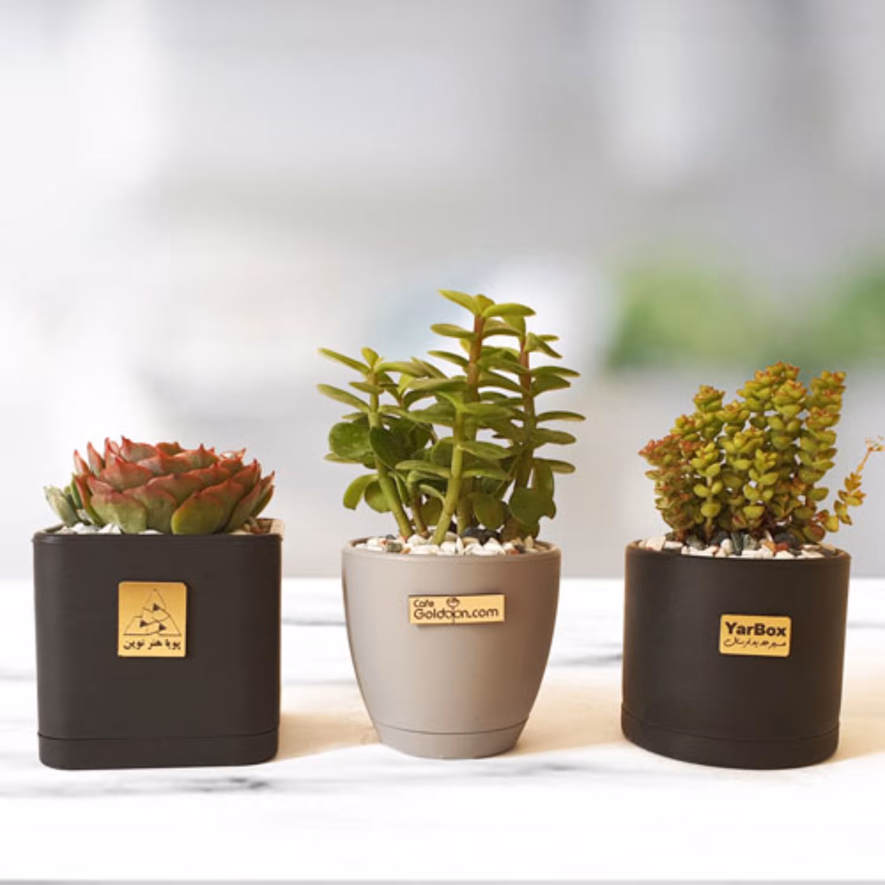 پک تبلیغاتی و هدیه - جایگزین سالنامه و تقویم