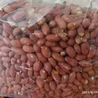 بادام زمینی بو داده آستانه اشرفیه اعلا در بسته های یک کیلویی 