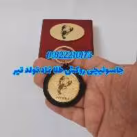 جاسوئیچی ورق طلا نماد ماه تولد تیر