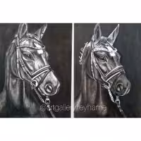 طراحی چهره ،حیوان ، و منظره و هر عکسی که بخاید