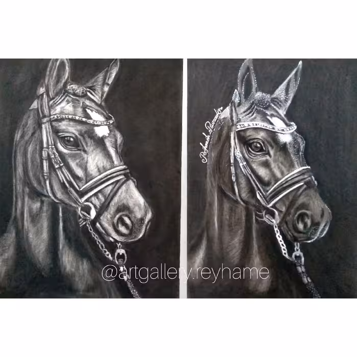 طراحی چهره ،حیوان ، و منظره و هر عکسی که بخاید