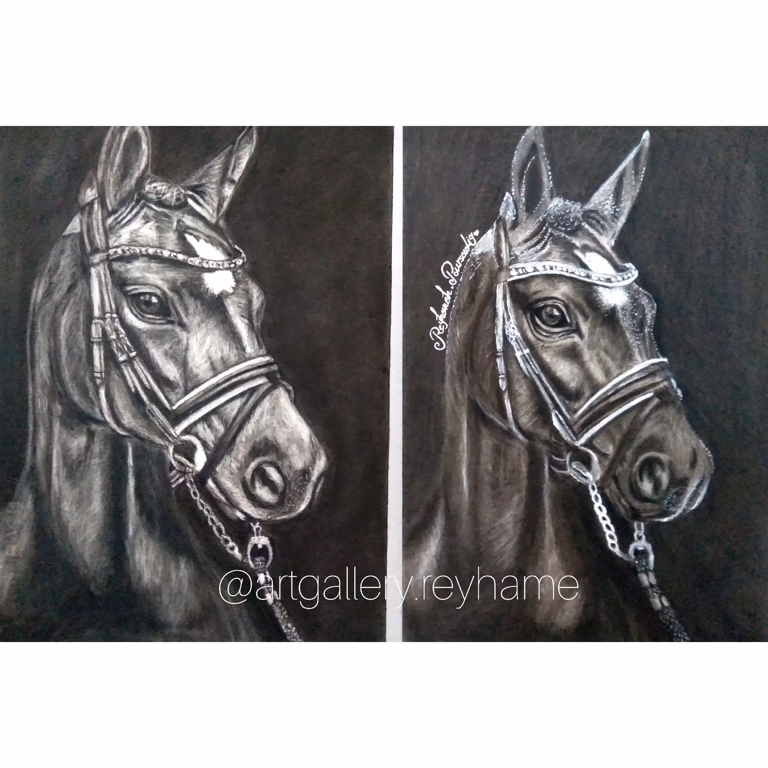 طراحی چهره ،حیوان ، و منظره و هر عکسی که بخاید