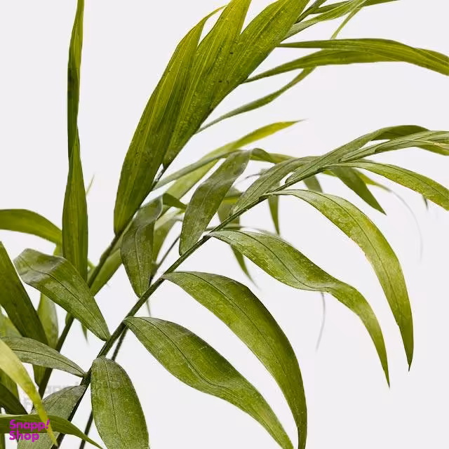 گلدان شامادورا ارتفاع 25 سانتی متر