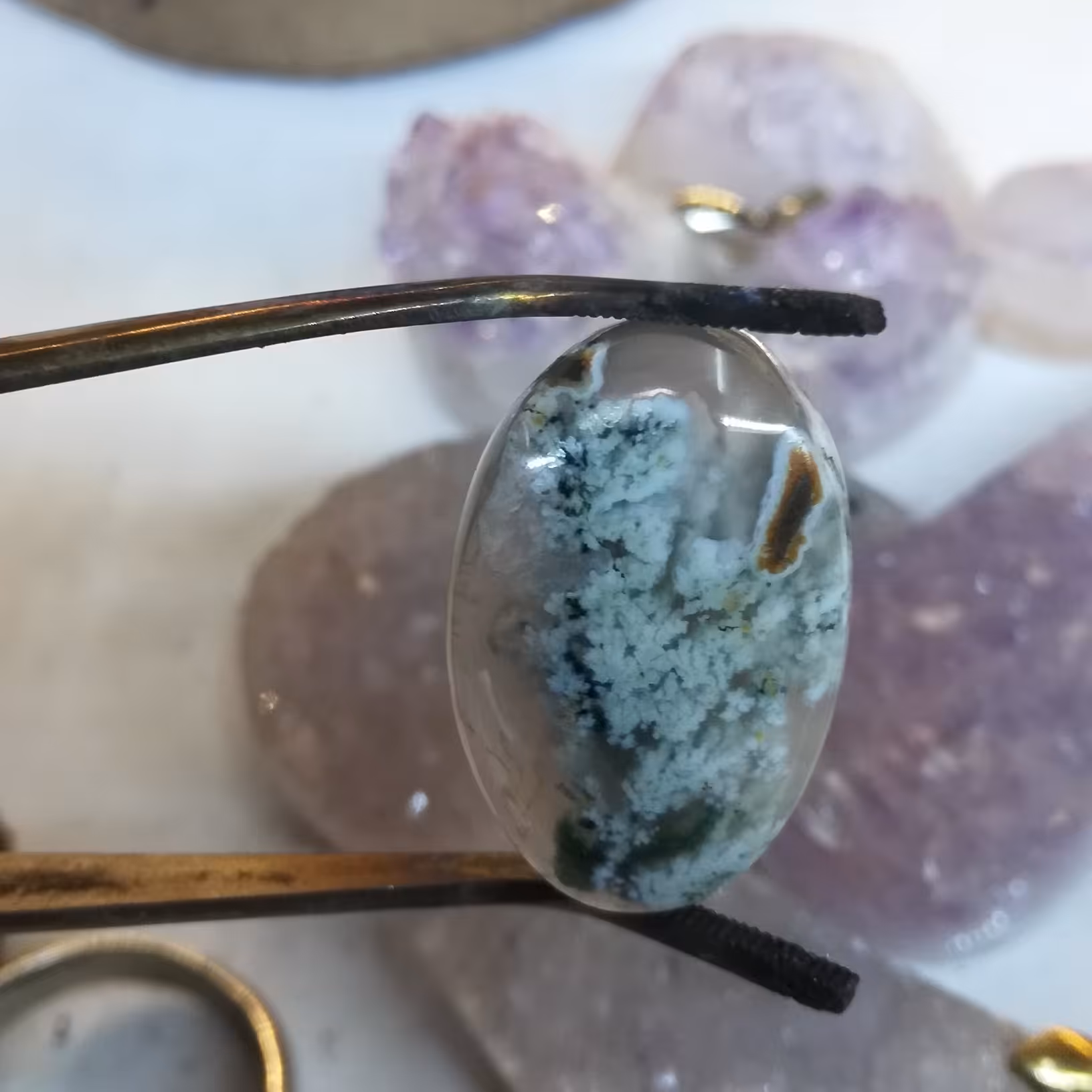 نگین شجر دریایی سبز آبی بسیار خاص 