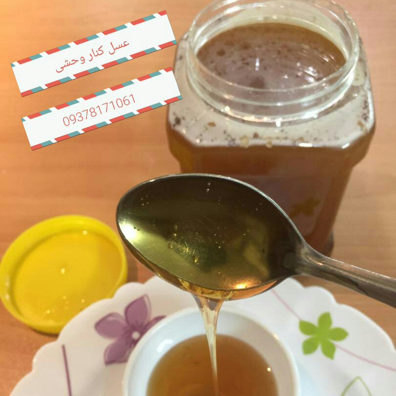 عسل کنار وحشی