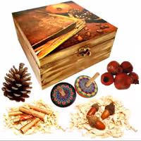 ست هدیه دکوراتیو مدل شب یلدا کد 04 مجموعه 17 عددی
