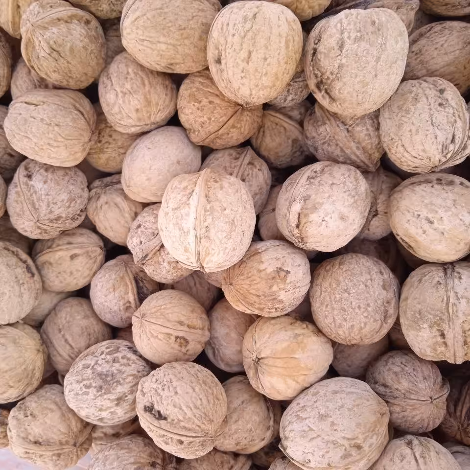 گردوی پرچرب مغز سفید درجه یک تویسرکان(تضمین کیفیت) 4600گرمی،محصول سال 1402