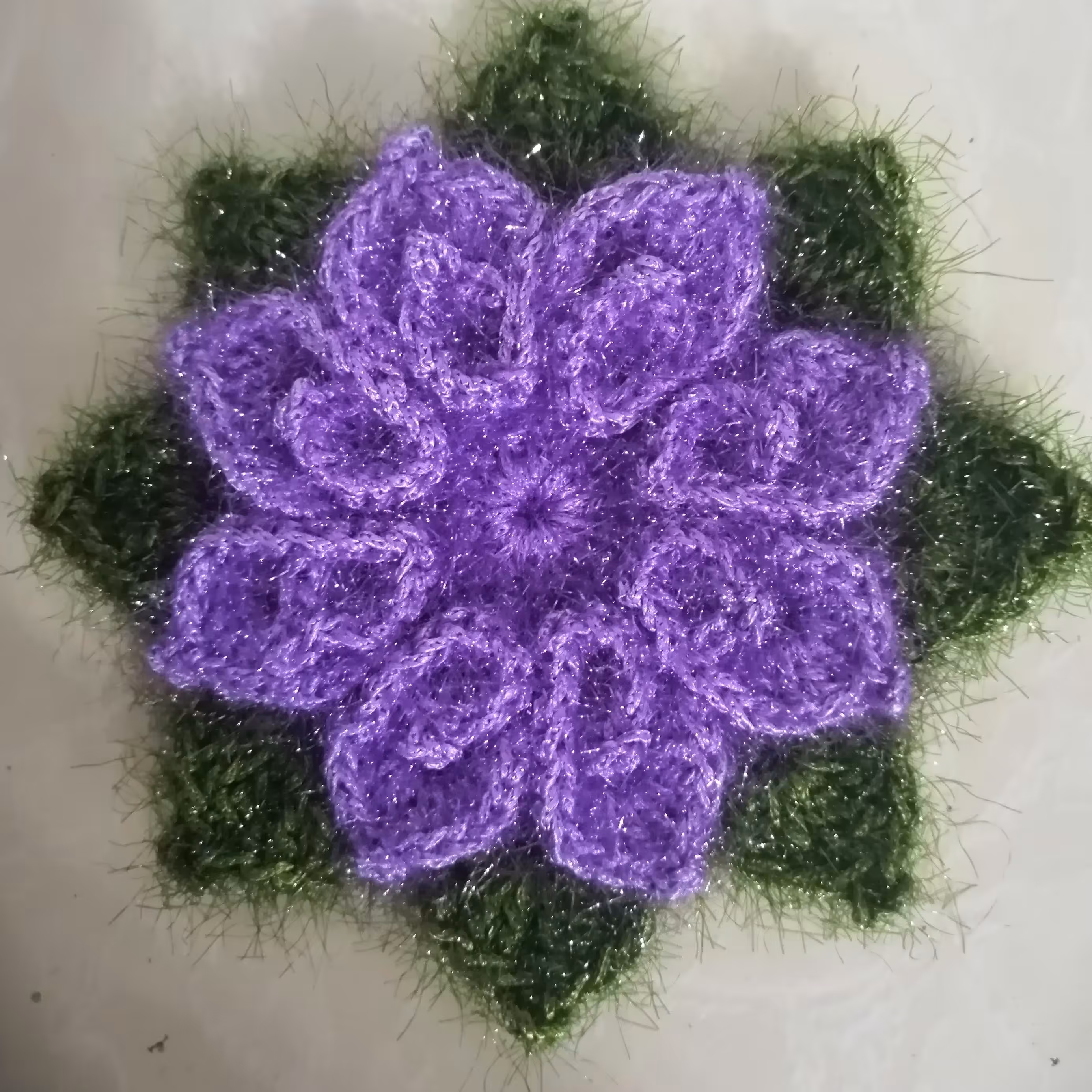 اسکاج شیپوری