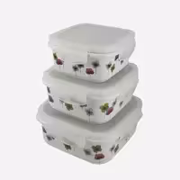 ظروف غذا فریزری 3 سایز سرامیکی مربع گلدار یونیک کد 2844