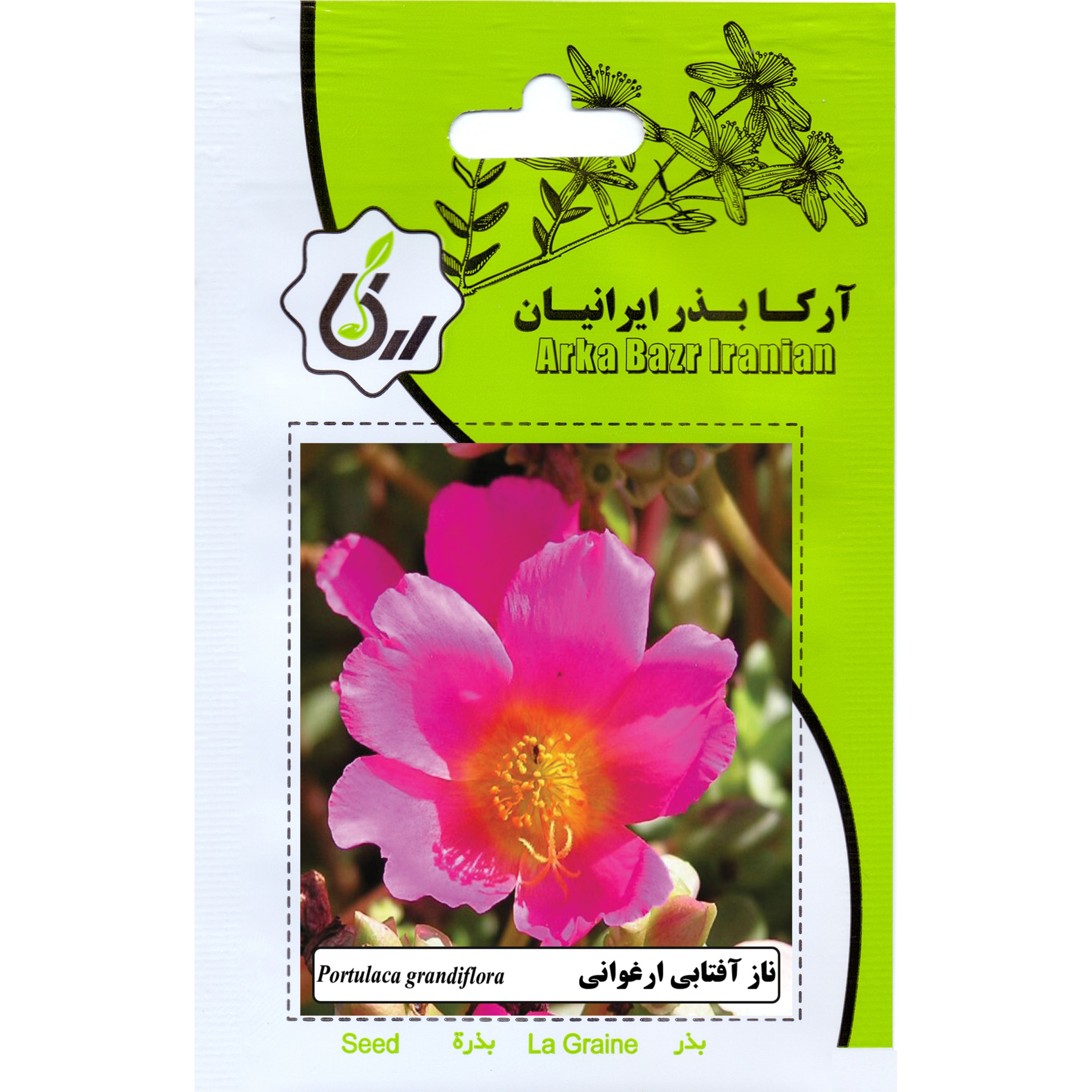 ناز افتابی ارغوانی ارکا بذر ایرانیان