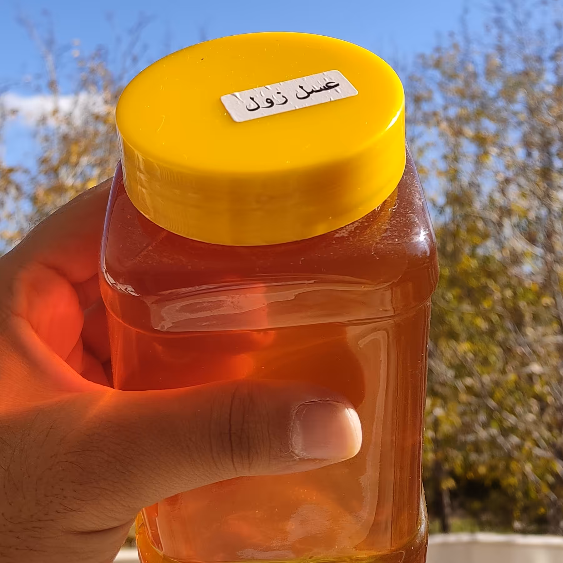 عسل زول خوانسار