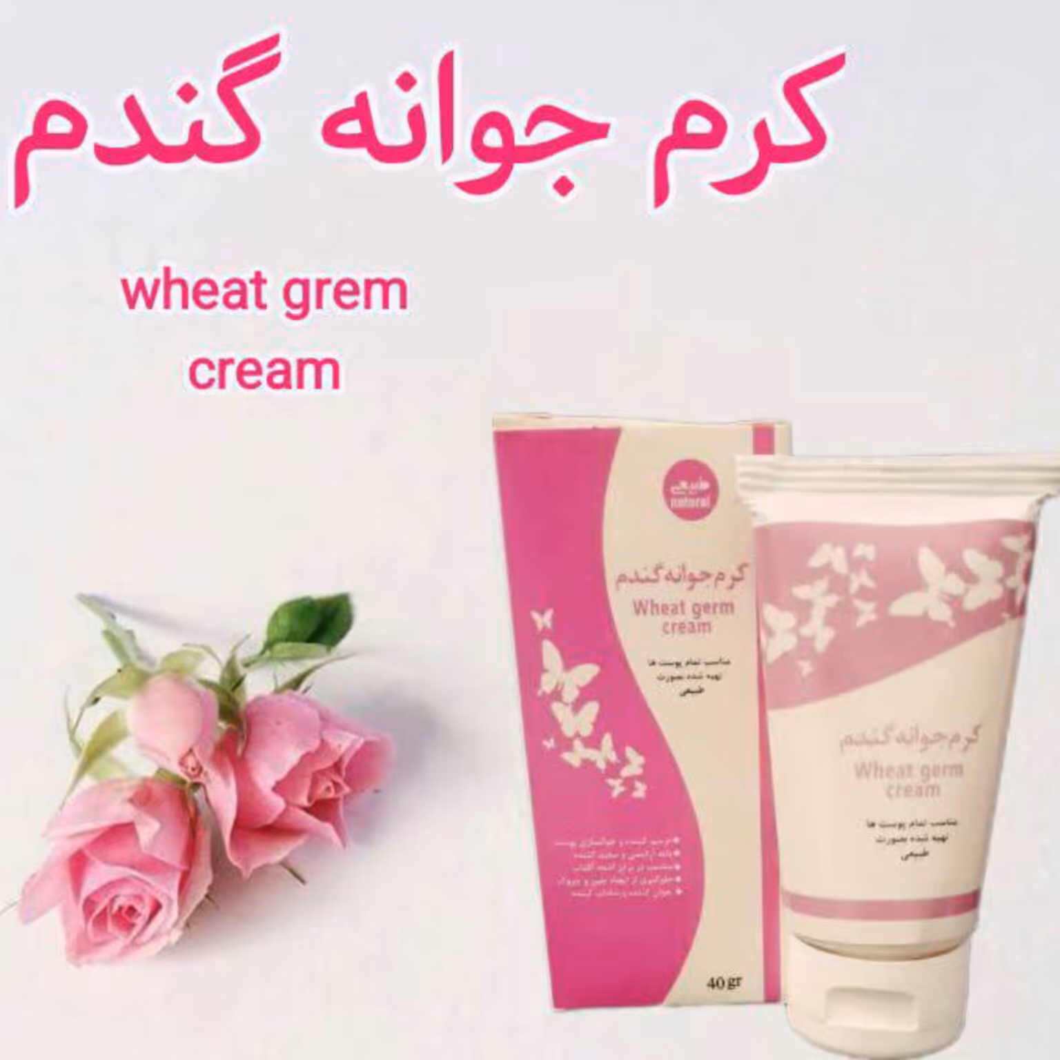 کرم جوانه گندم صورتی