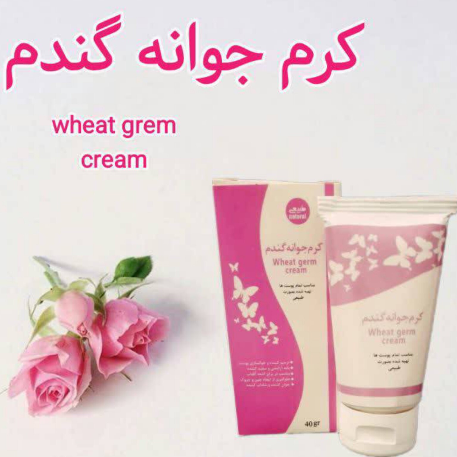 کرم جوانه گندم صورتی