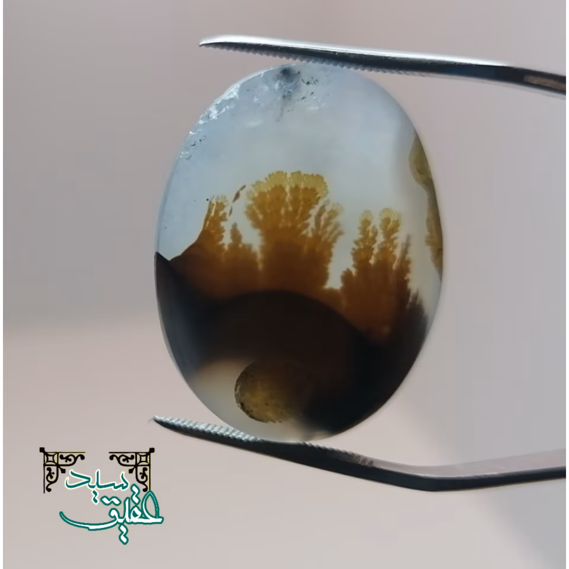 نگین شجر باباقوری خوش سایز