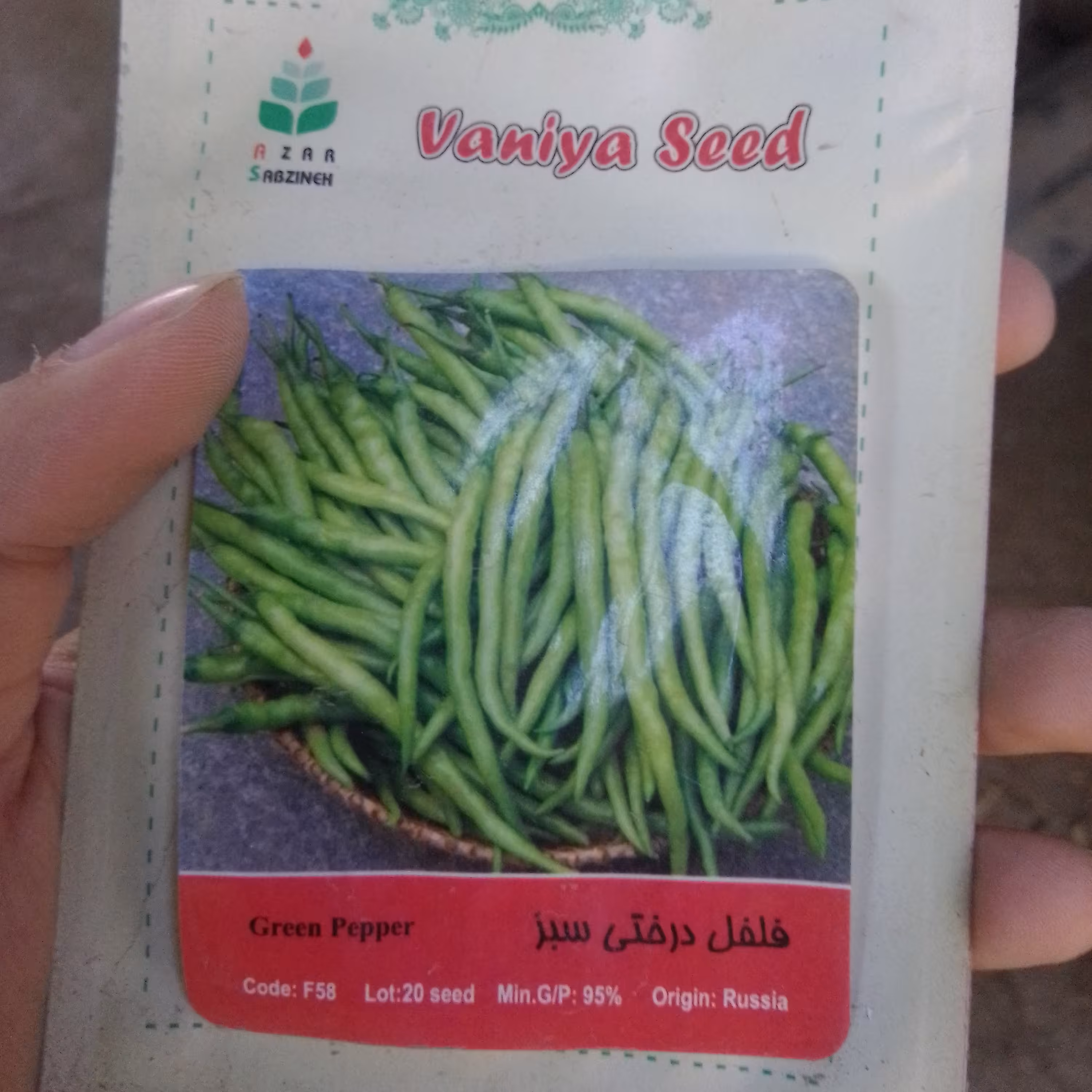 بذر فلفل درختی سبز