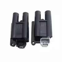 کوئل دو قلو زیمنس سوزنی پژو 405 - بهرام