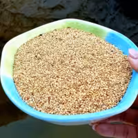 کنجد محلی بو داده (یک کیلویی) 