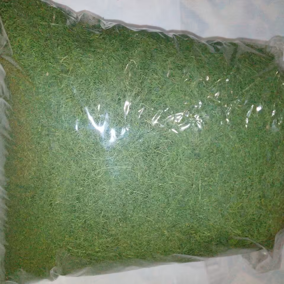 شوید خشک عااالی کیلویی 480