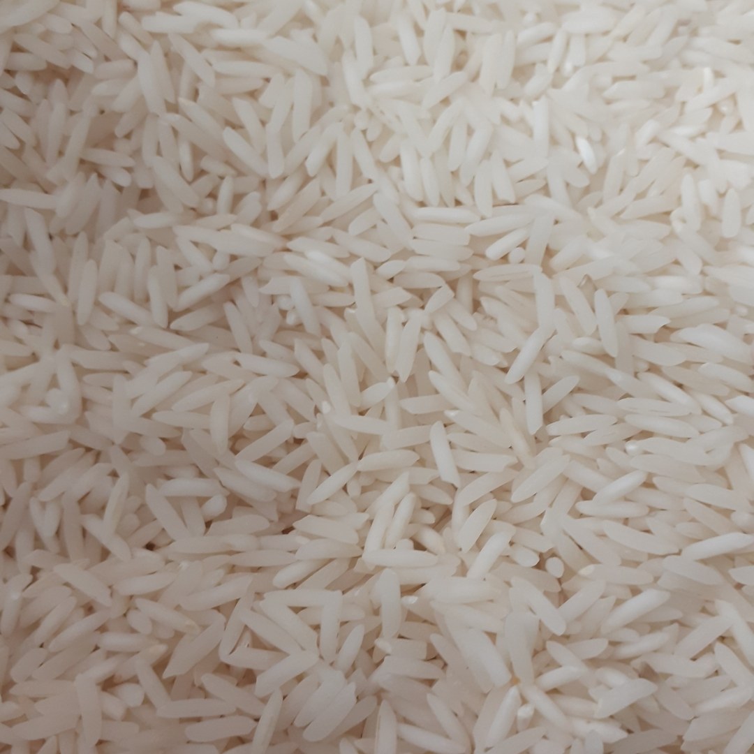 برنج شیرودی تخفیف ویژه ایام نوروزبابرندطراوت صابریان دربسته 10کیلویی