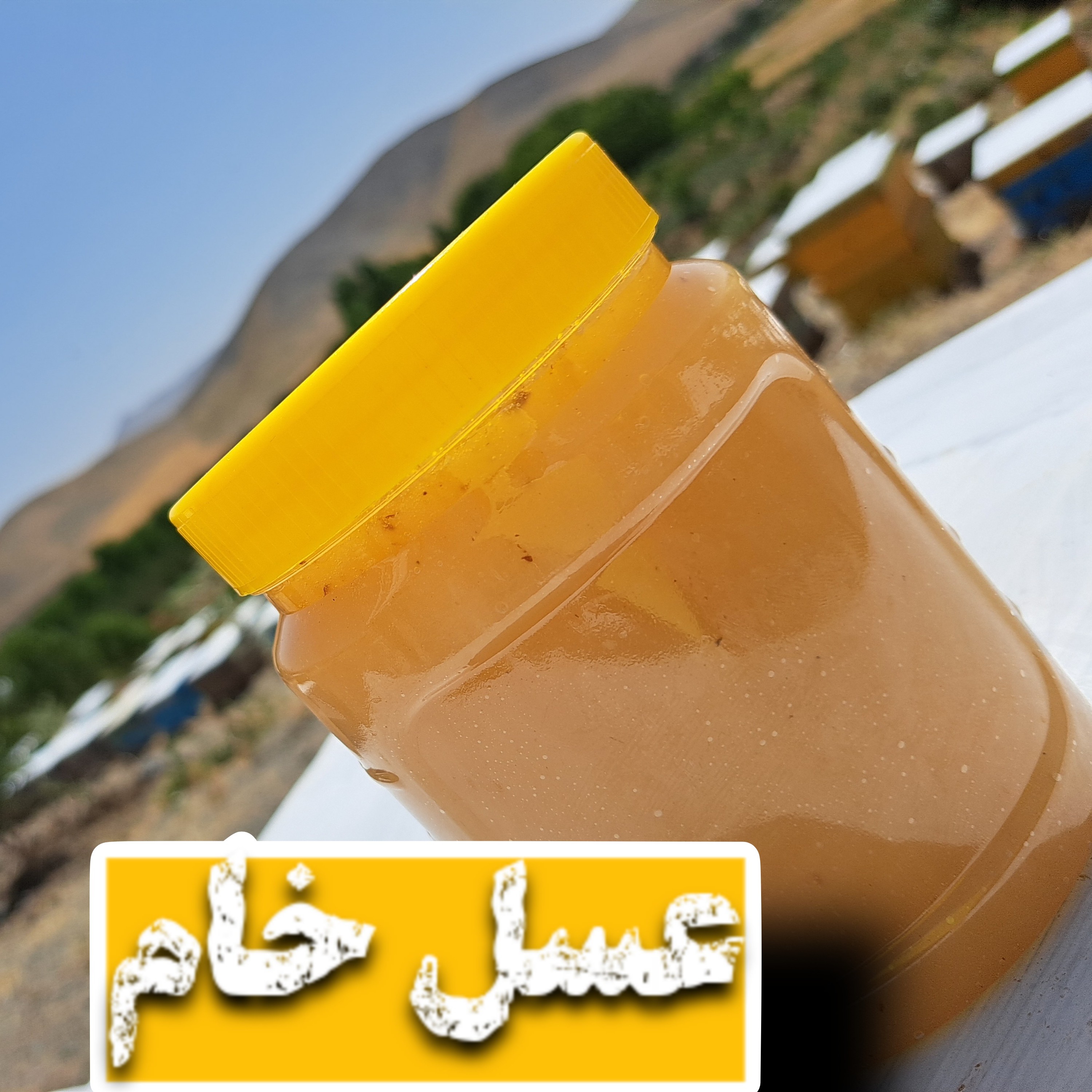 عسل خام (1کیلوگرم)
