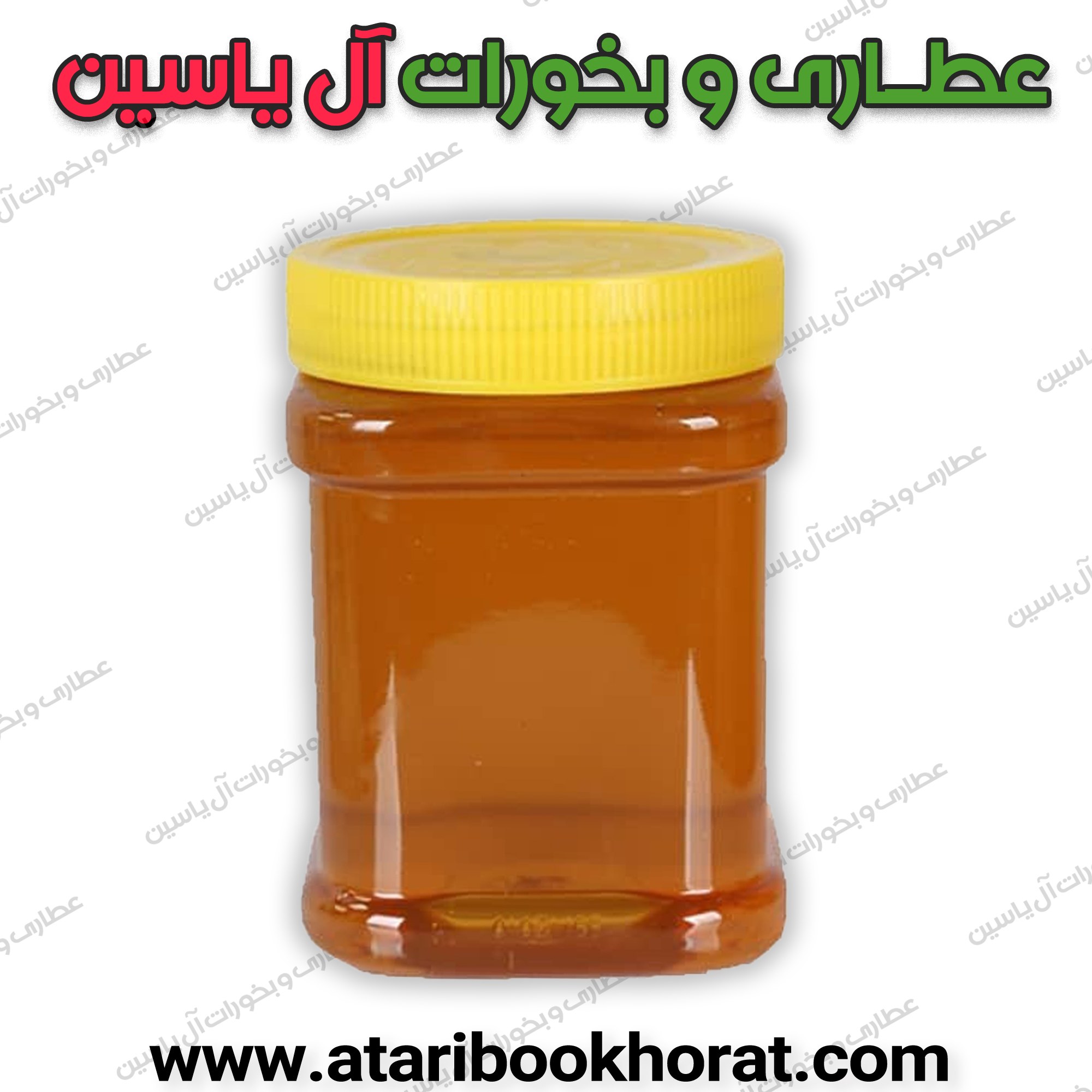 عسل درمانی گشنیز( نیم کیلویی)