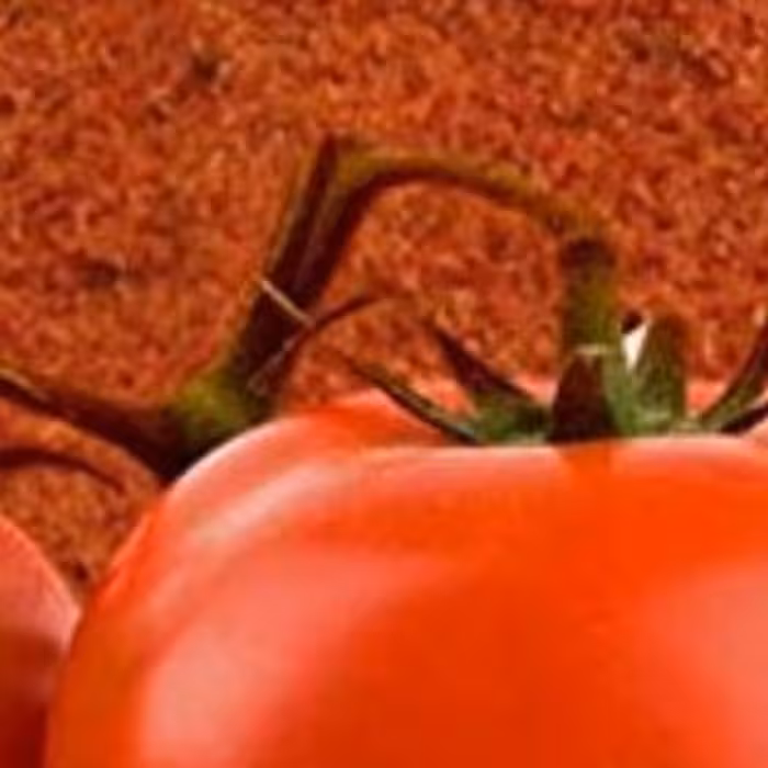 پودر گوجه فرنگی _ گوجه خشک شده _ رب خانگی