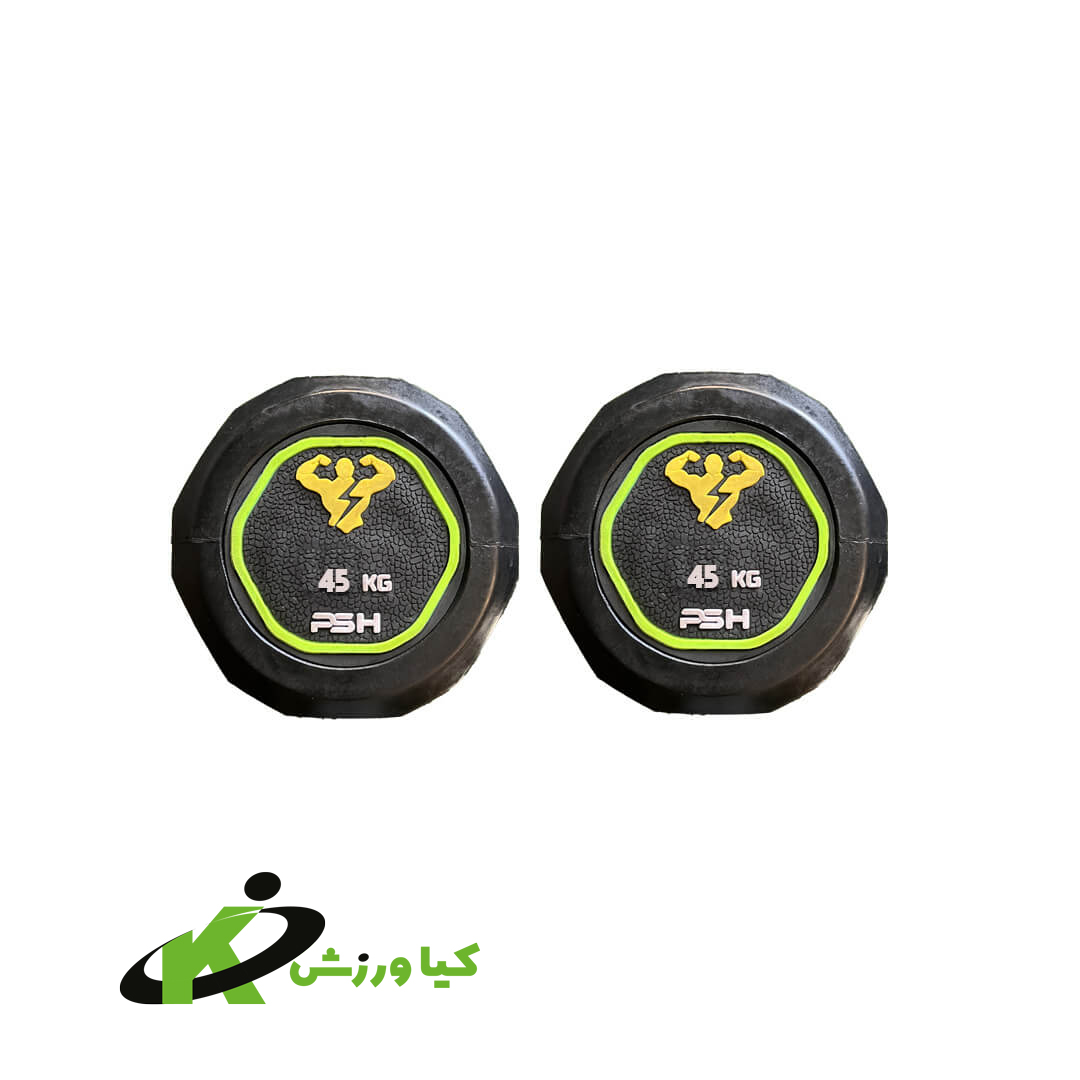 دمبل گرد 45 کیلوگرم PSH