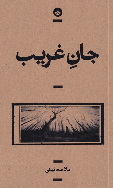 کتاب جان غریب اثر ملاحت نیکی ترجمه مترجم رضا رضایی