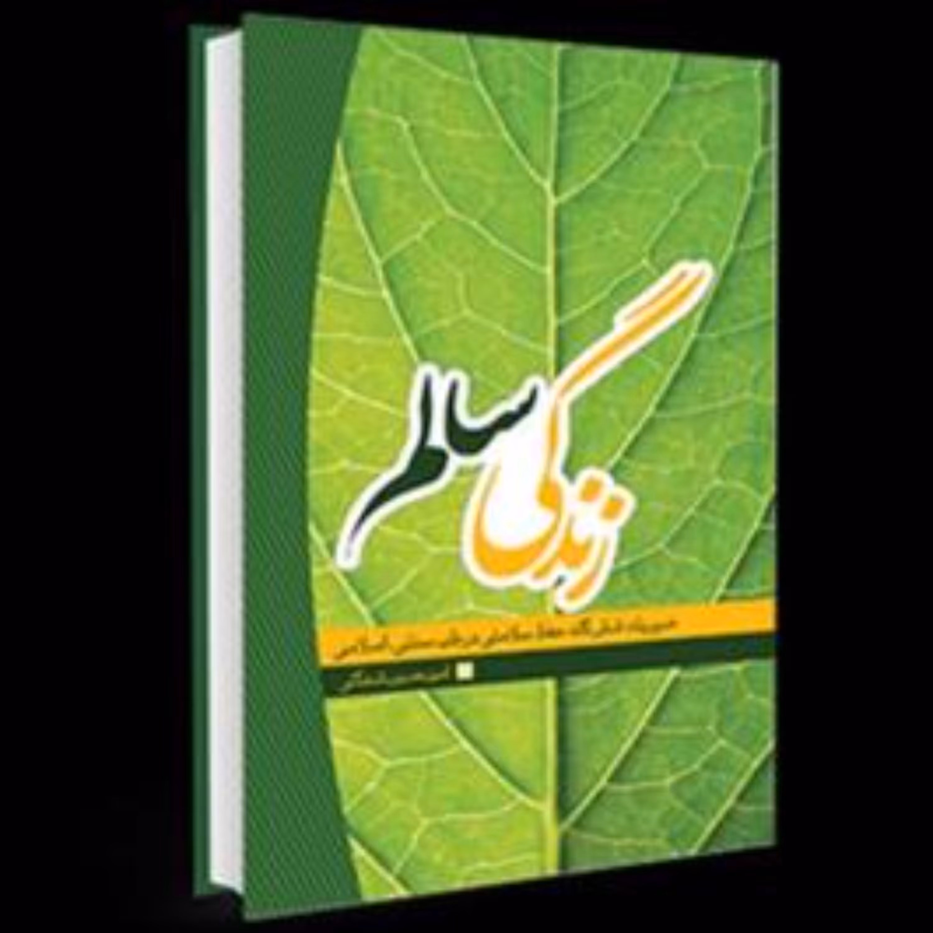 زندگی سالم  در طب سنتی و اسلامی نوشته امیر حسین شهگلی