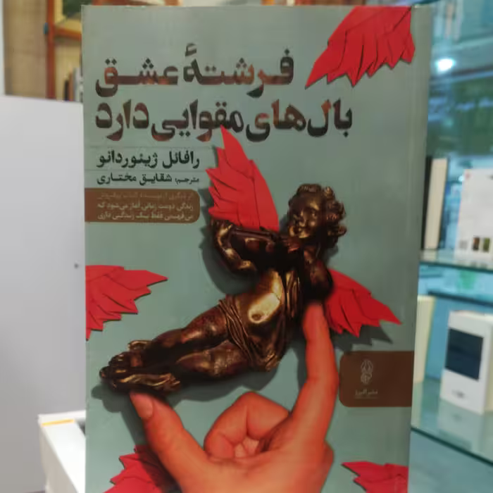 کتاب فرشته عشق بال های مقوایی دارد اثر رافائل ژیئور دانو ترجمه شقایق مختاری نشر البرز 